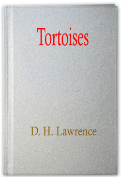 Tortoises