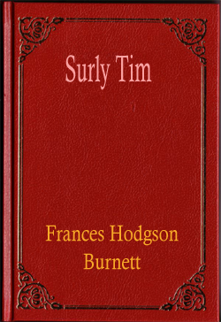 Surly Tim