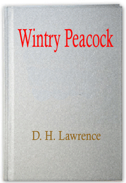 Wintry Peacock