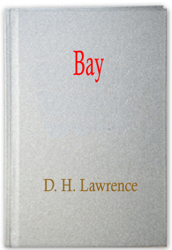 Bay